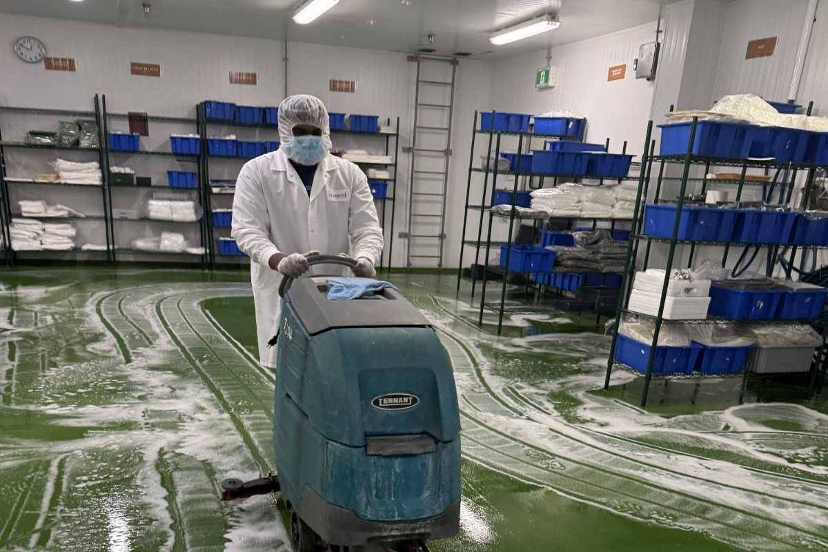 cleaning services in toronto