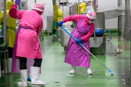 Sustainable Cleaning service in toronto