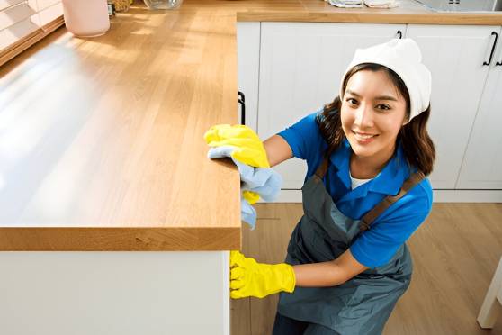 high quality carpet cleaning service in toronto