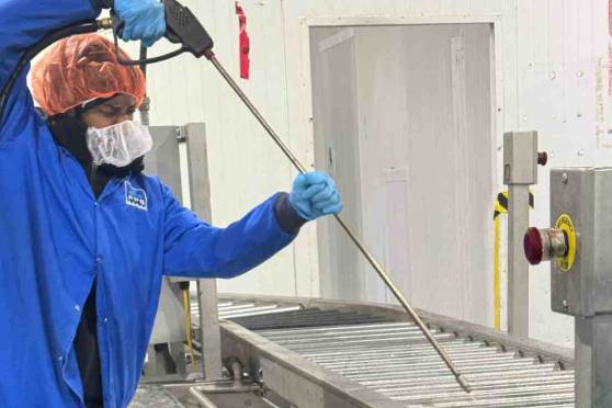 professionals food plant cleaning services in toronto